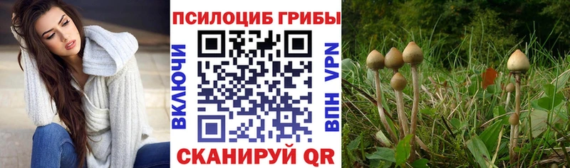 Псилоцибиновые грибы Magic Shrooms  где можно купить наркотик  Всеволожск 