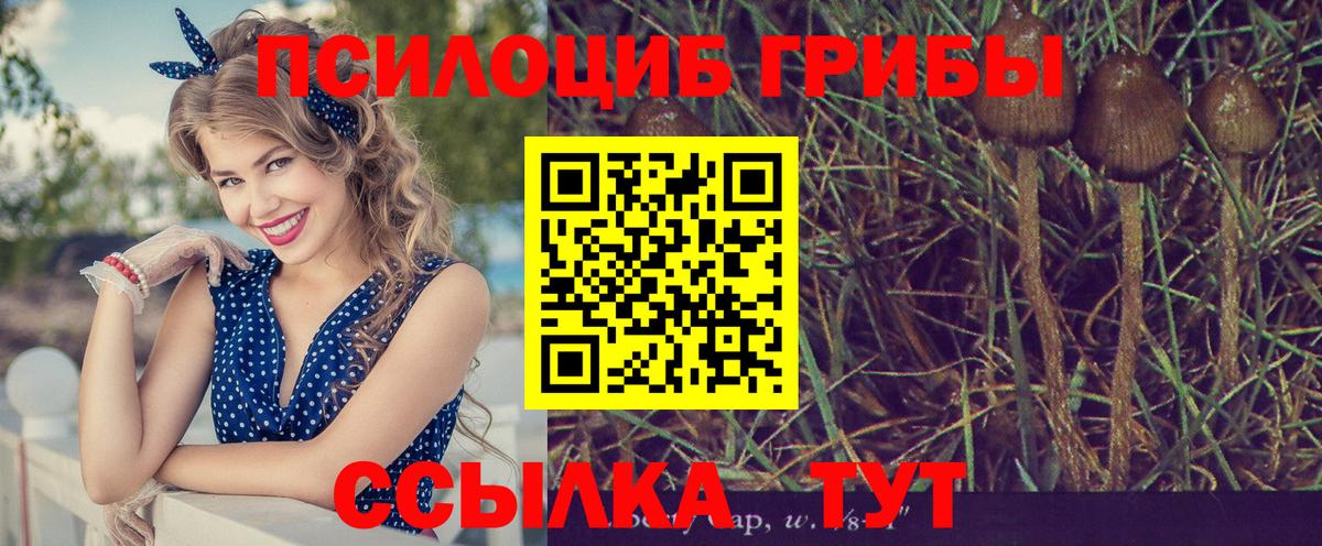 Галлюциногенные грибы Psilocybine cubensis  Галлюциногенные грибы GOLDEN TEACHER  Всеволожск  Вход с VPN 