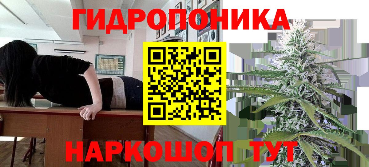 МАРИХУАНА сатива  Вход с VPN  Марихуана индика  МАРИХУАНА конопля  Всеволожск 